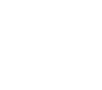 Startup Mentoring & Venture Support